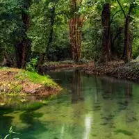 fontanile brancaleone bonifica