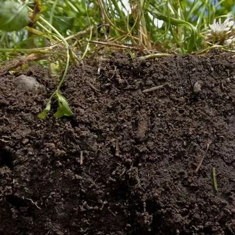 Analisi chimiche terreni terre